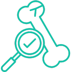 bone-density-icon