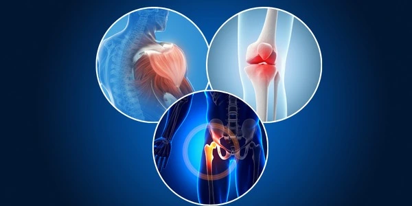 hip replacement surgeon greater Noida